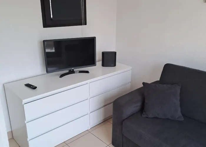 アパート Climatise Odalys Nouvelle Box 5 G ,saint Loup,piscine ,parking Prive Et Superette *